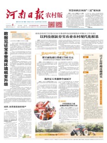 河南日报·农村版期刊